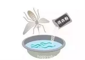 學會這3種驅蚊方法，蚊子不敢靠近你！