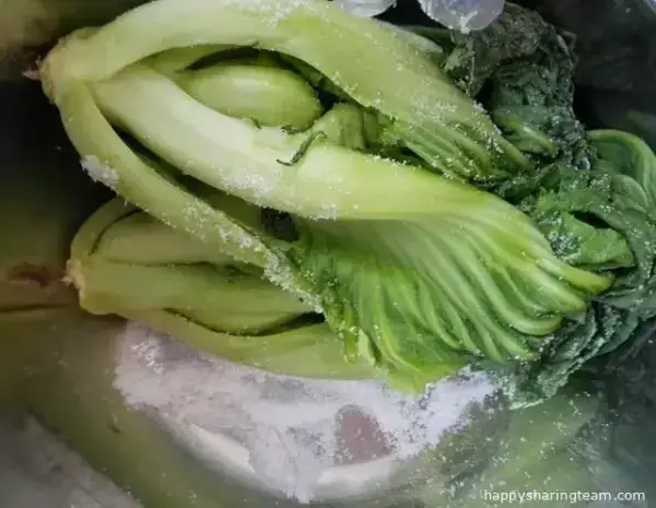腌酸菜的方法，製作方法簡單，酸爽開胃又下飯！