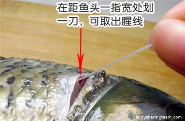 學會這六個關鍵秘訣，蒸出來的魚無腥味，鮮嫩好吃！