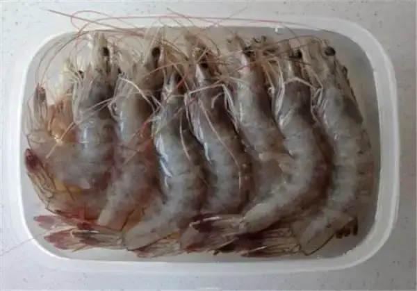 大蝦用這個方法保存起來，放幾個月還是新鮮如初