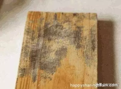 家裡的菜板發黑髮霉？教你一個清洗菜板的方法，輕鬆清除發霉！