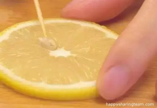 一直以來都泡錯了，教你檸檬水正確泡法，簡單方便營養豐富！