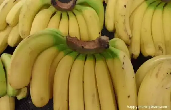 教你這個方法保存香蕉，放久了也不會變黑！