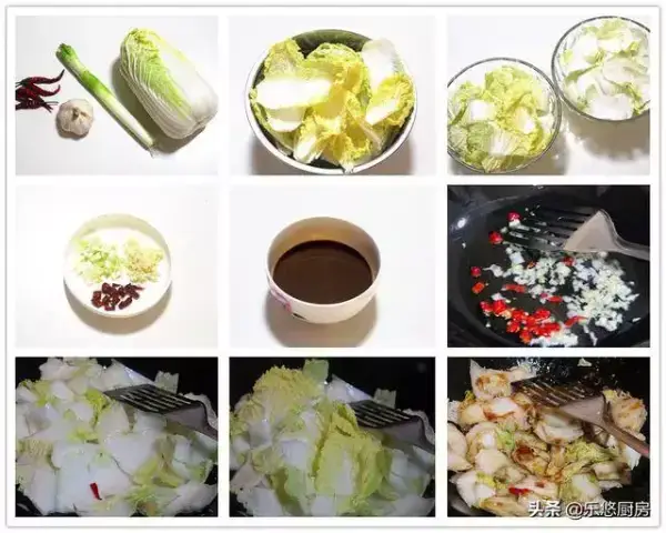 白菜的12種做法，營養豐富，個個都非常好吃