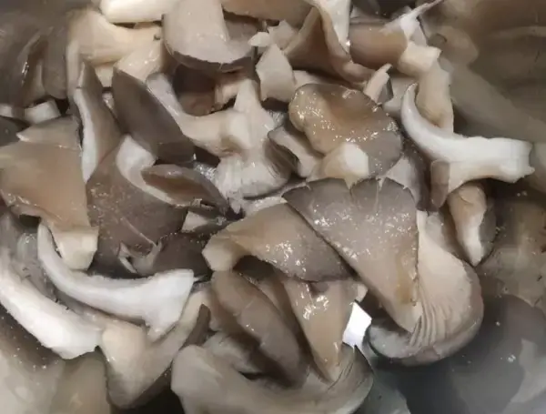 炸蘑菇的做法，蘑菇脆還不回軟，做法簡單又好吃