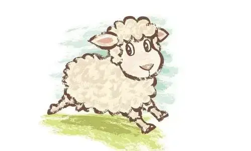如果你不屬羊，但你最愛的人屬羊，或家中有屬羊，44年才一次！迷信一回吧！